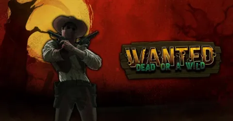 Wild West cowboy slot wilde haspels